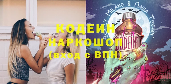 PSILOCYBIN Алзамай