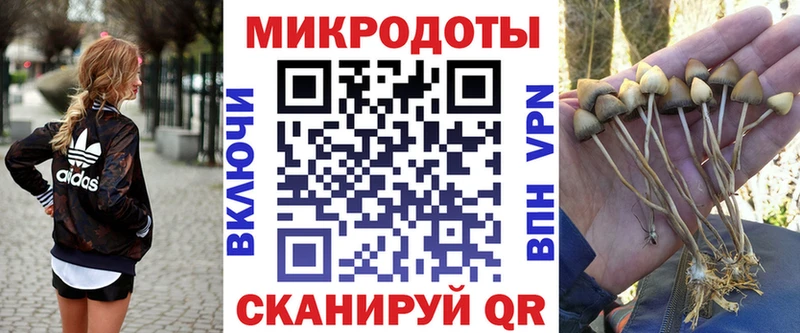 Галлюциногенные грибы Cubensis  Данилов 